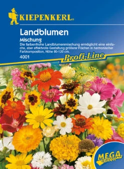 Landblumenmischung Mischung Vieler Arten | Blumensamenmischung Von Kiepenkerl