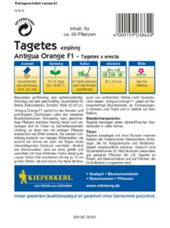 Saat Wunder Verkäufe -Saat Wunder Verkäufe 3528 Tagetes Antigua Orange F1 3862 1