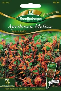 Aprikosen Melisse | Melissensamen  Von Quedlinburger