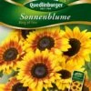 Sonnenblumen Ring Of Fire | Sonnenblumensamen Von Quedlinburger