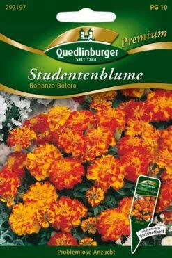 Studentenblumen Bonanza Bolero | Studentenblumensamen Von Quedlinburger