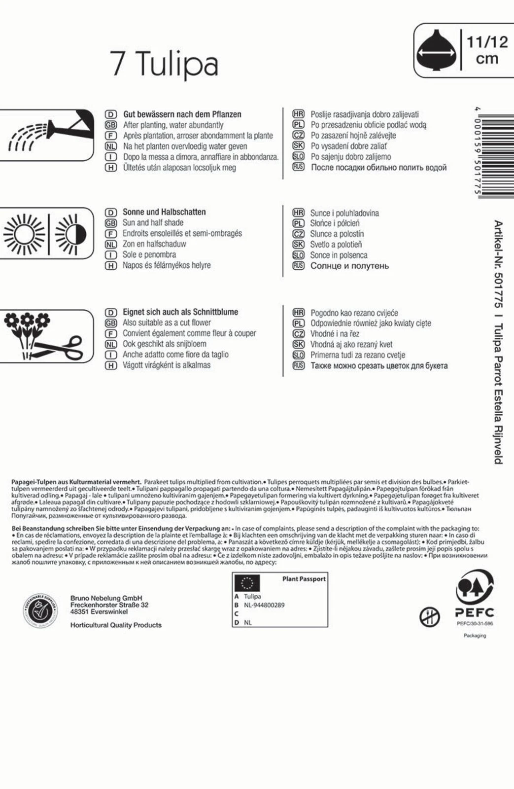 Papagei Tulpe Estella Rijnveld (7 Stück) | Tulpenzwiebeln Von Kiepenkerl 1 Papagei Tulpe Estella Rijnveld (7 Stück) | Tulpenzwiebeln Von Kiepenkerl