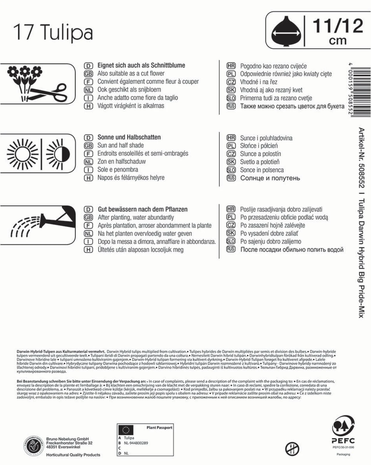 Mega-Pack Darwin-Hybrid-Tulpe Big Pride Mischung (17 Stück) | Tulpenzwiebeln Von Kiepenkerl 2 Mega-Pack Darwin-Hybrid-Tulpe Big Pride Mischung (17 Stück) | Tulpenzwiebeln Von Kiepenkerl – Bild 2