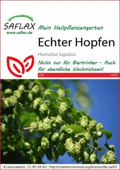 Saat Wunder Verkäufe 30 Echter Hopfen | Heilpflanzensamen Von Saflax