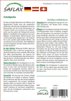 Schafgarbe | Blumensamen Von Saflax