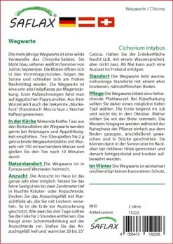 Saat Wunder Verkäufe -Saat Wunder Verkäufe 535670 Wegwarte 15222 sa 1