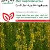 Großblumige Königskerze | Heilpflanzensamen Von Saflax
