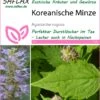 Koreanische Minze | Minzesamen Von Saflax