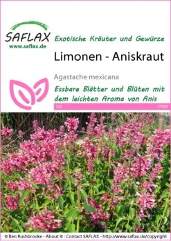 Saat Wunder Verkäufe 19 Limonen-Aniskraut | Anissamen Von Saflax