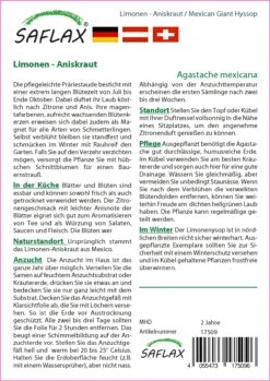 Saat Wunder Verkäufe -Saat Wunder Verkäufe 535681 Limonen Aniskraut 17509 sa 1