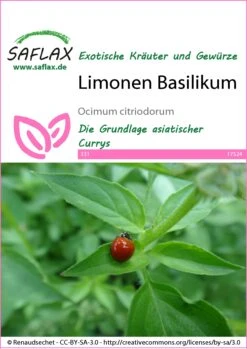 Saat Wunder Verkäufe 21 Limonen Basilikum | Basilikumsamen Von Saflax