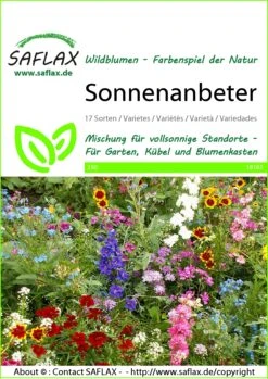 Saat Wunder Verkäufe -Saat Wunder Verkäufe 535705 Blumenwiese Sonnenanbeter 18163 sa 0