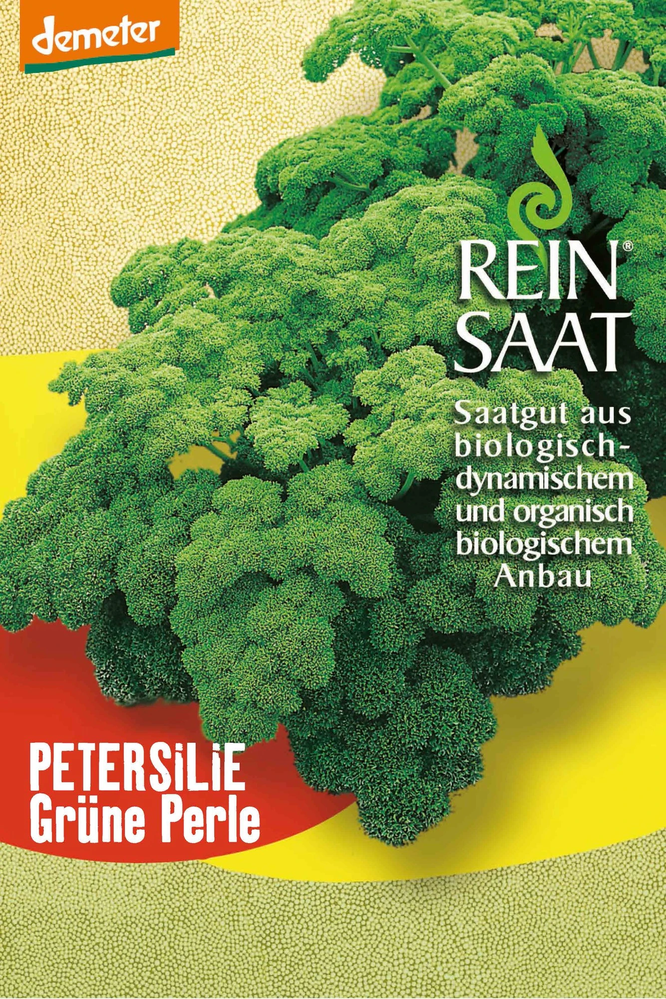 Petersilie Grüne Perle | BIO Petersiliensamen Von Reinsaat 1 Petersilie Grüne Perle | BIO Petersiliensamen Von Reinsaat