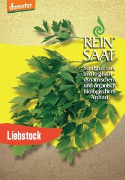 Liebstock | BIO Liebstöckelsamen Von Reinsaat