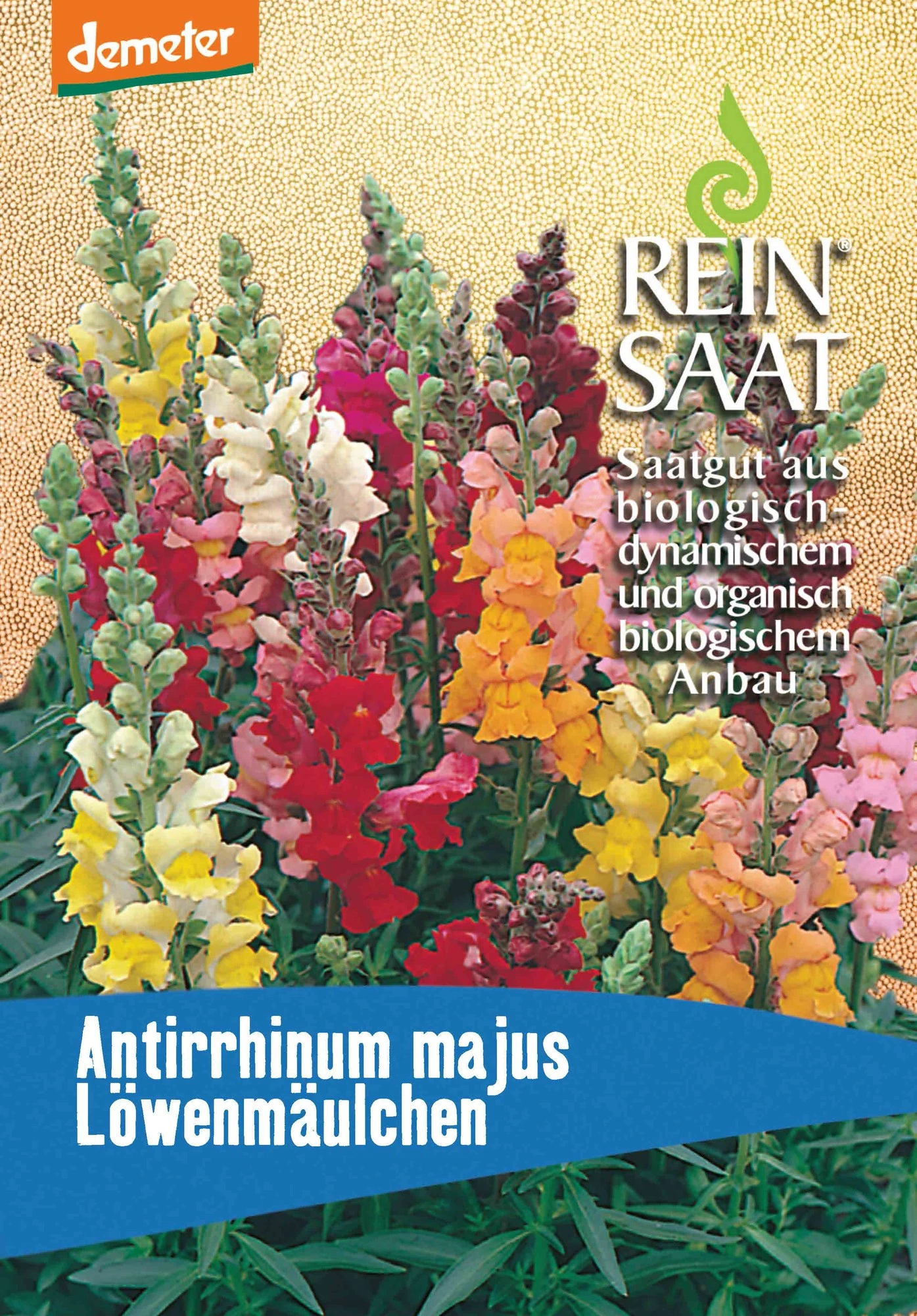 Löwenmäulchen Niedrig | BIO Löwenmaulsamen Von Reinsaat 1 Löwenmäulchen Niedrig | BIO Löwenmaulsamen Von Reinsaat