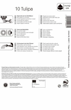 Triumph-Tulpe Halloween Mischung (10 Stück) | Tulpenzwiebeln Von Kiepenkerl