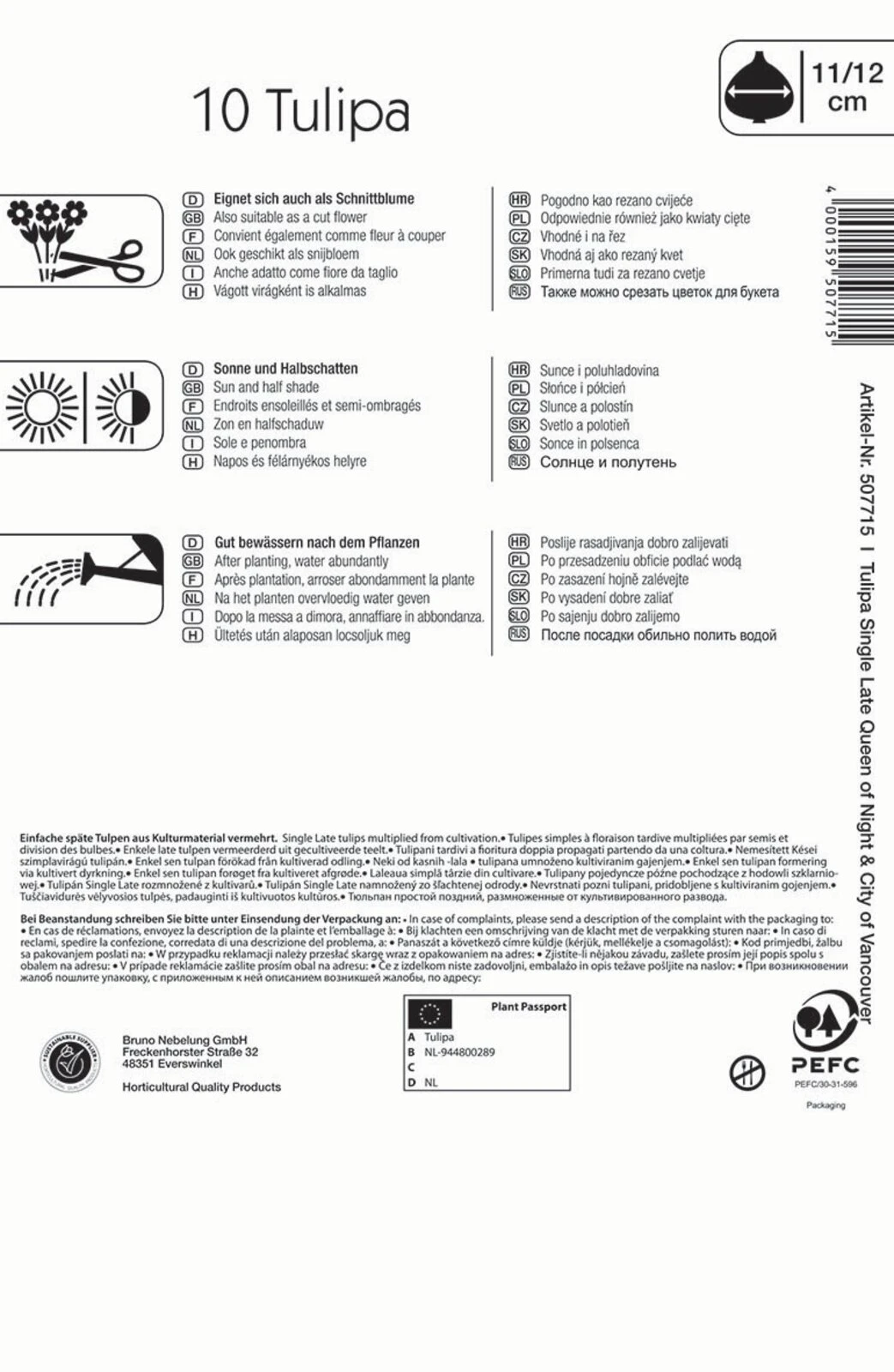 Einfache Späte Tulpe Night And Day (10 Stück) | Tulpenzwiebeln Von Kiepenkerl 2 Einfache Späte Tulpe Night And Day (10 Stück) | Tulpenzwiebeln Von Kiepenkerl – Bild 2