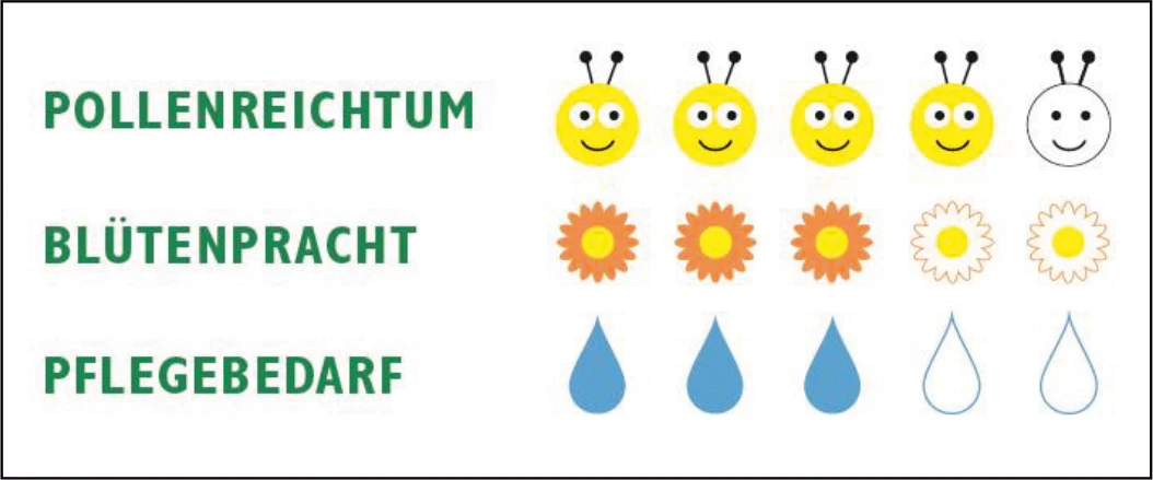 Heimische Bienenweide (100 G) | Bienenwiese Von Samen Pfann 2 Heimische Bienenweide (100 G) | Bienenwiese Von Samen Pfann – Bild 2
