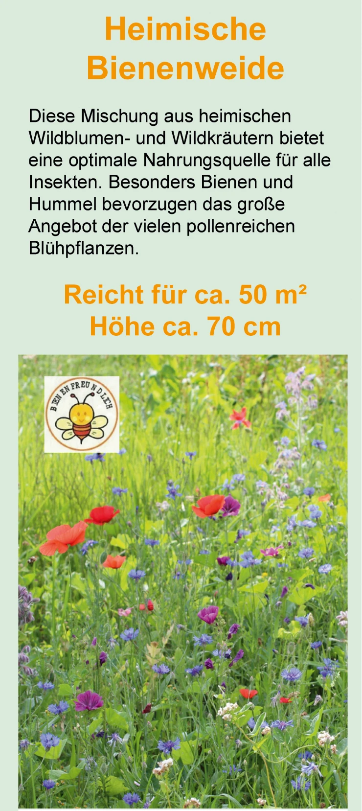 Heimische Bienenweide (100 G) | Bienenwiese Von Samen Pfann 1 Heimische Bienenweide (100 G) | Bienenwiese Von Samen Pfann