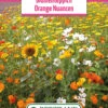 Blumenwiese Blumenteppich Orange Nuancen (100 G) | Blumensamen Von Bertrand