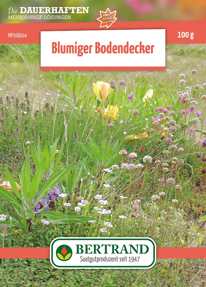 Blumenwiese Blumiger Bodendecker Für Gründächer (100 G) | Blumensamen Von Bertrand 1 Blumenwiese Blumiger Bodendecker Für Gründächer (100 G) | Blumensamen Von Bertrand