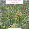 Blumenwiese Landblumenmischung (100 G) | Blumensamen Von Bertrand