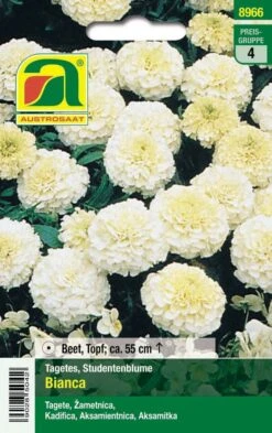 Studentenblume Bianca F1 | Studentenblumensamen Von Austrosaat