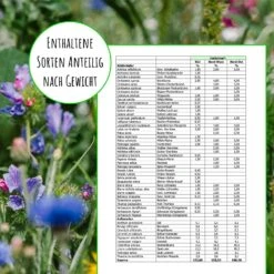 Saat Wunder Verkäufe -Saat Wunder Verkäufe 543483 Bienenweide Region Nord West mehrjaehrig 50 g BB1001 NW 2