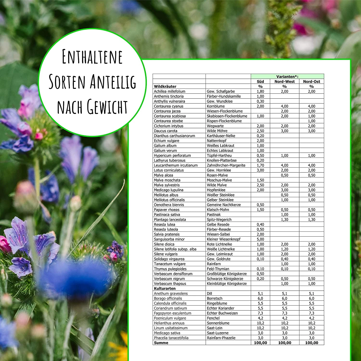 Bienenweide Region Süd (mehrjährig, 50 G) | Bienenwiese Von Biobalu 1 Bienenweide Region Süd (mehrjährig, 50 G) | Bienenwiese Von Biobalu