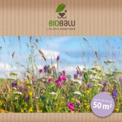Bienenweide Halbschatten- Und Schattenbereich (50 G) | Bienenwiese Von Biobalu -Saat Wunder Verkäufe 546069 Bienenweide Halbschatten und Schattenbereich 50 g 2