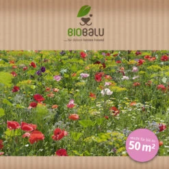 Saatgutmischung Sommerzauber (30 G) | Bienenwiese Von Biobalu -Saat Wunder Verkäufe 547420 Saatgutmischung Sommerzauber 30 g 1