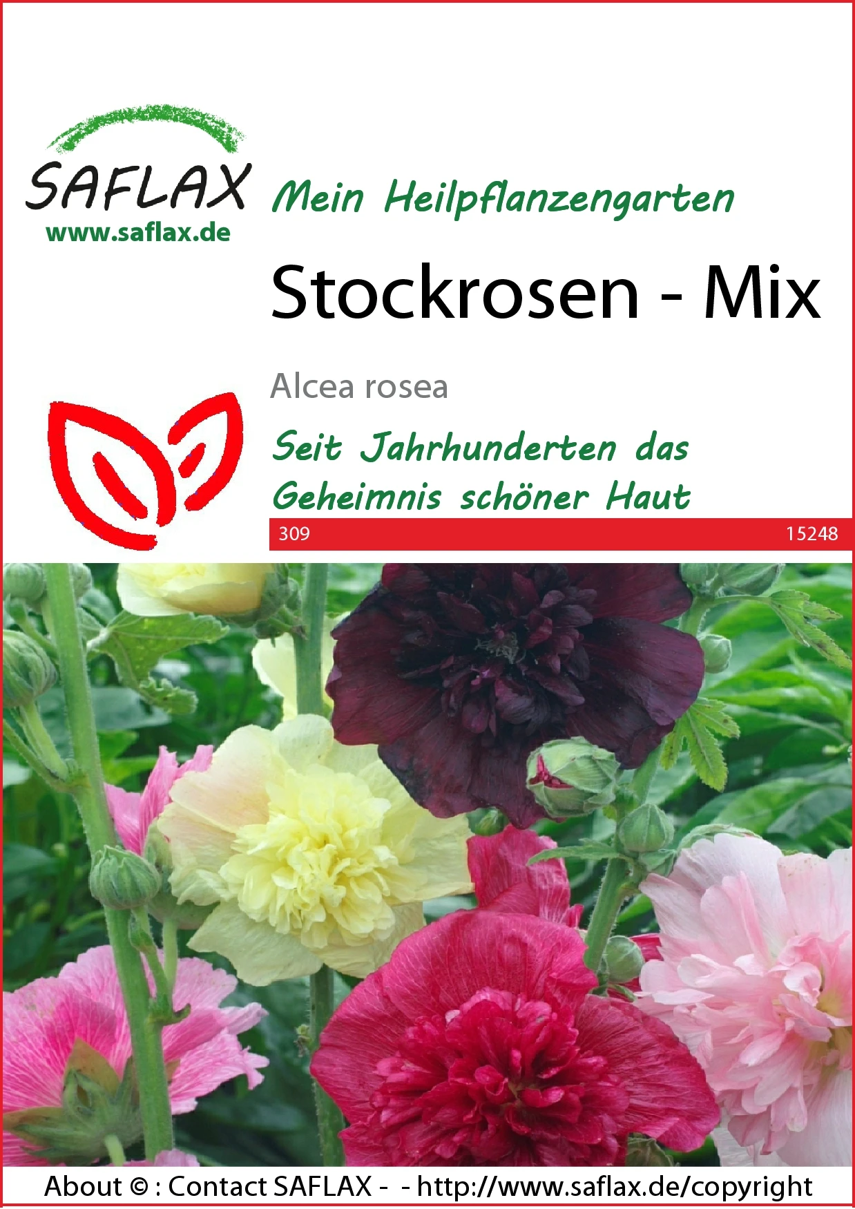 Stockrosen Mix | Blumensamenmischung Von Saflax 1 Stockrosen Mix | Blumensamenmischung Von Saflax