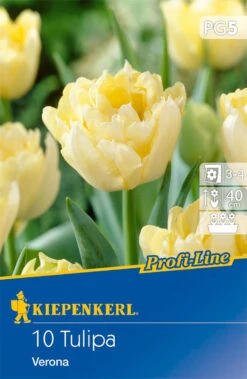 Gefüllte Frühe Tulpe Verona (10 Stück) | Tulpenzwiebeln Von Kiepenkerl