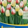 Triumphtulpe Happy Mischung (8 Stück) | Tulpenzwiebeln Von Kiepenkerl