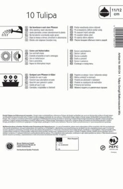 Greigii-Tulpe Balkonzauber Mischung (10 Stück) | Tulpenzwiebeln Von Kiepenkerl