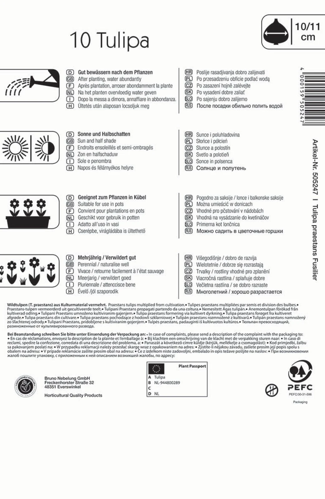 Wildtulpe Praestans Fusilier (10 Stück) | Tulpenzwiebeln Von Kiepenkerl 2 Wildtulpe Praestans Fusilier (10 Stück) | Tulpenzwiebeln Von Kiepenkerl – Bild 2