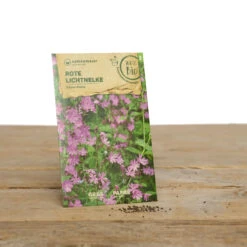 Wildblumen Set Stay Wild | BIO Wildblumensamen Von Samen Maier -Saat Wunder Verkäufe 549603 BIO Wildblumen Set Stay Wild A02 sm 1