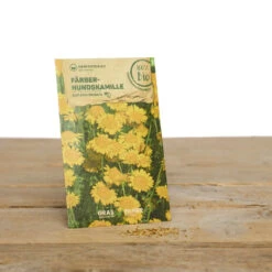 Wildblumen Set Stay Wild | BIO Wildblumensamen Von Samen Maier -Saat Wunder Verkäufe 549603 BIO Wildblumen Set Stay Wild A02 sm 2