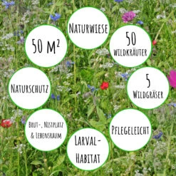 Bienenweide Mit Wildgräsern (Naturwiese) | Bienenwiese Von Biobalu -Saat Wunder Verkäufe 550629 Bienenweide mit Wildgraesern Naturwiese BB1016 3