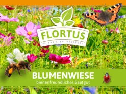 Blumenwiese (1/2 L Doypack) | Blumenwiese Von FLORTUS -Saat Wunder Verkäufe 551641 Blumenwiese 1 2 Liter Doypack 2000 0186 1