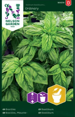 Basilikum Normal | Basilikumsamen Von Nelson Garden