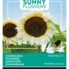 Sonnenblume White Moon F1 | Sonnenblumensamen Von Buzzy Seeds