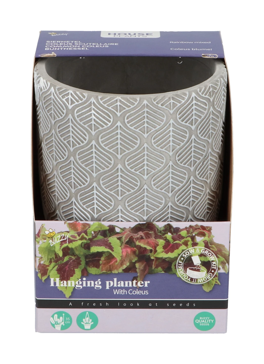 Buntnessel | Buntnesselsamen Von Buzzy Seeds 1 Buntnessel | Buntnesselsamen Von Buzzy Seeds