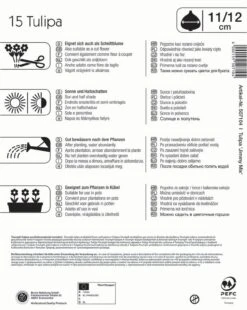 Mega-Pack Triumph-Tulpen Jimmy Mix (15 Stück) | Tulpenzwiebeln Von Kiepenkerl