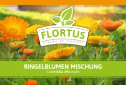 Ringelblumen Mischung | Blumenwiese Von FLORTUS -Saat Wunder Verkäufe 554533 Ringelblumen Mischung 1 kg 530747 Ringelblumen Mischung 1 kg 2000 0209 2