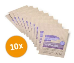 Saat Wunder Verkäufe 5 Wilde Phaceliasamen (10 Stück) | Phaceliasamen Von Biobalu