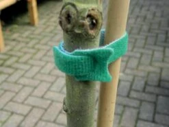 15 Cm Pflanzenbefestigung (10 Stück) | Gartenzubehör Von Garland -Saat Wunder Verkäufe 558881 15 cm Pflanzenbefestigung 10 Stueck W0894 gl 1