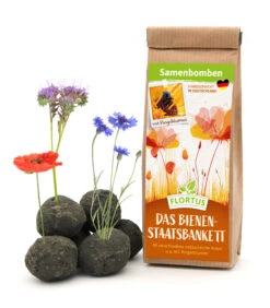 Samenbomben Das Bienenstaatsbankett (6 Stück) | Bienenwiese Von FLORTUS -Saat Wunder Verkäufe 562161 Samenbomben Das Bienenstaatsbankett 6 Stueck 2000 2356 1