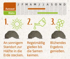 Samenbomben Das Bienenstaatsbankett (6 Stück) | Bienenwiese Von FLORTUS -Saat Wunder Verkäufe 562161 Samenbomben Das Bienenstaatsbankett 6 Stueck 2000 2356 4