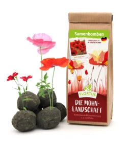 Samenbomben Die Mohnlandschaft (6 Stück) | Mohnsamen Von FLORTUS -Saat Wunder Verkäufe 562163 Samenbomben Die Mohnlandschaft 6 Stueck 2000 1054 1